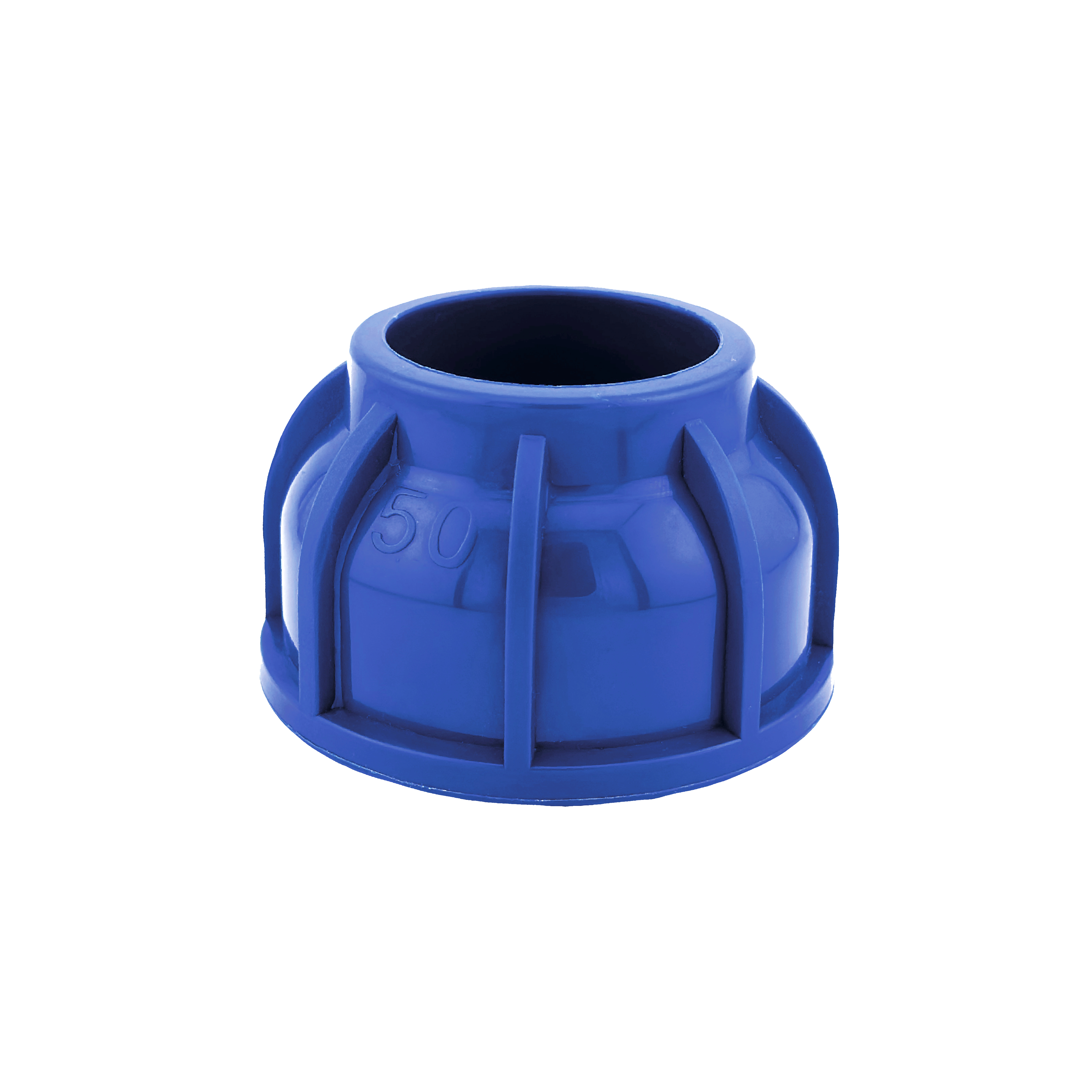 NUT BLUE COMP10