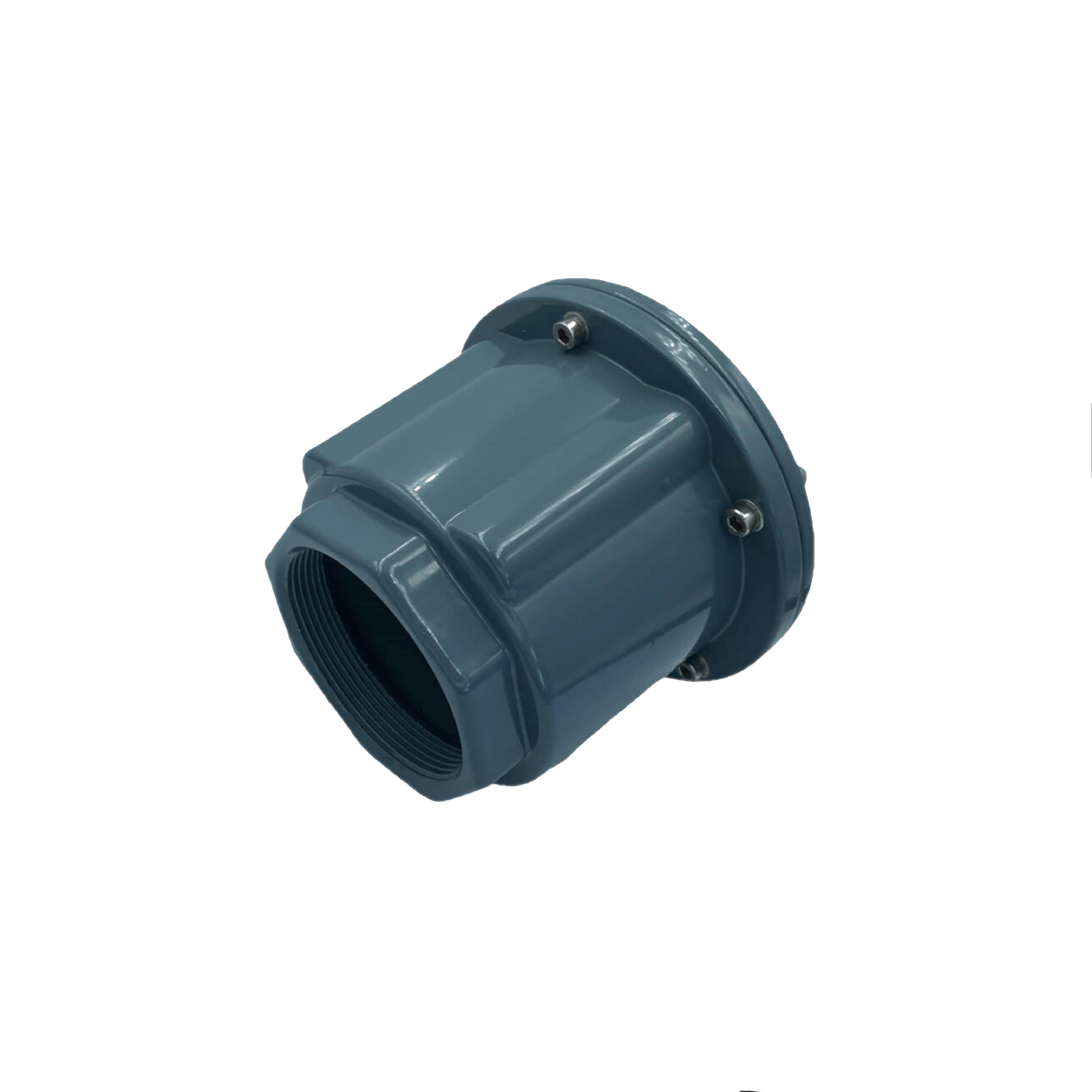 FOOT CHECK VALVE