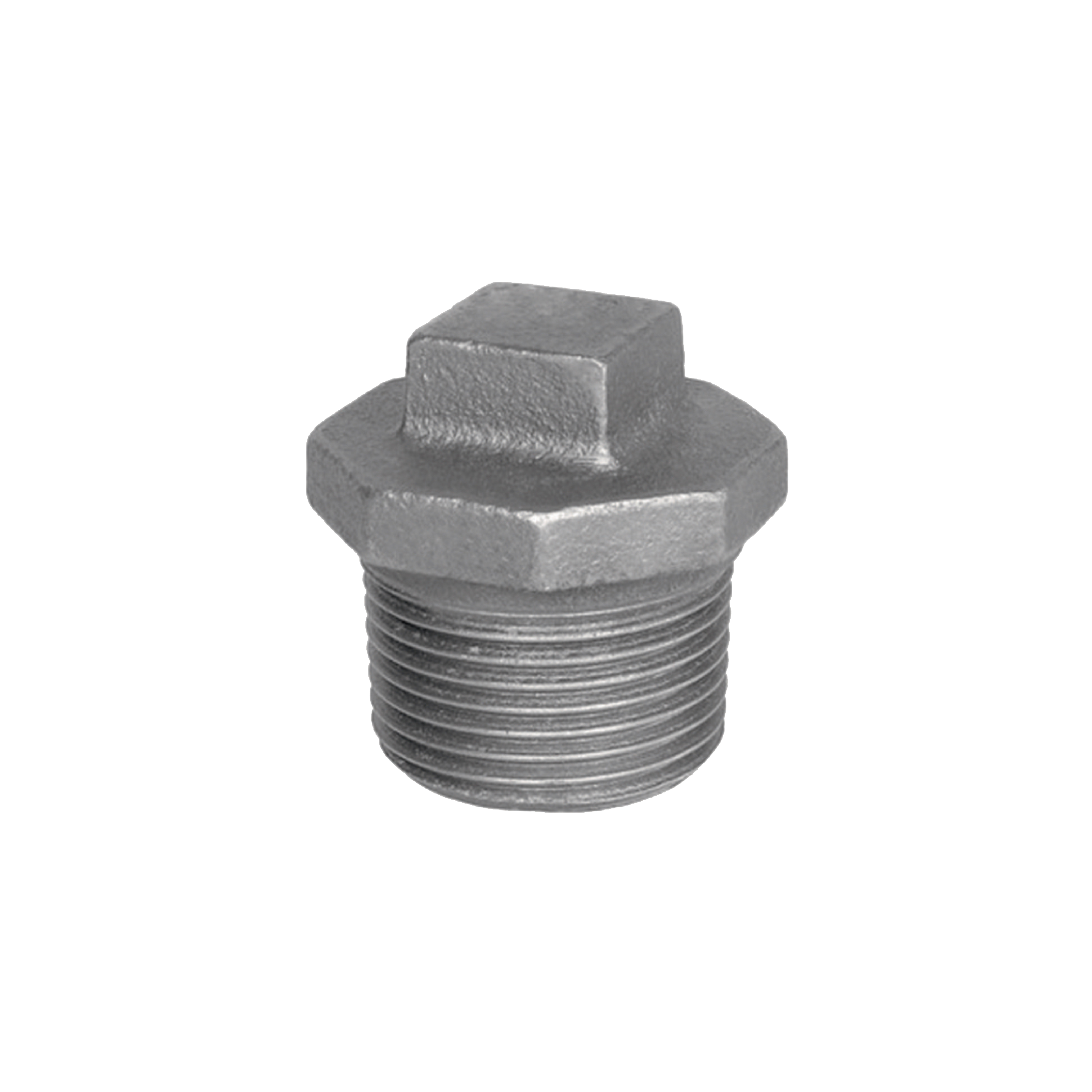 PLUG MALE GALV